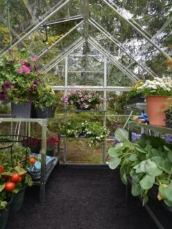 Canopia® By Palram Harmony™ Greenhouse, 6' X 14' -Eco Garden Shop 8610563 03V jpg