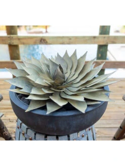 Desert Steel Spiral Aloe Sculpture -Eco Garden Shop 8610750 02v