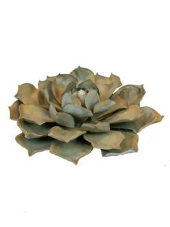 Desert Steel Blue Rose Succulent Sculpture -Eco Garden Shop 8610763 01v desert steel blue rose succulent small