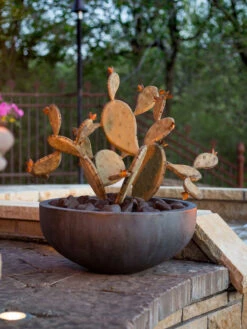 Desert Steel Prickly Pear Cactus Sculpture, Redondo -Eco Garden Shop 8610768 03v