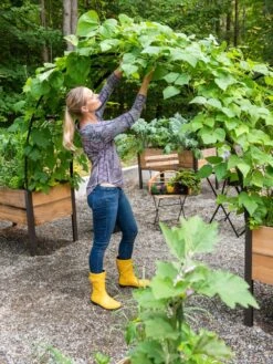 2’ X 8’ Arch Trellis For Planter Boxes -Eco Garden Shop 8610798 050 tif