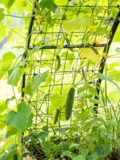 2’ X 8’ Arch Trellis For Planter Boxes -Eco Garden Shop 8610798 095 tif