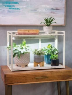 Oslo 1-Tier LED Grow Light Garden -Eco Garden Shop 8611002 2000 tif