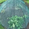 GardenSkill Pop N Crop Plant Umbrella -Eco Garden Shop 8611105 01V tif