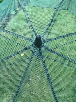 GardenSkill Pop N Crop Plant Umbrella -Eco Garden Shop 8611105 07V tif