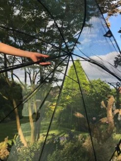 GardenSkill Pop N Crop Plant Umbrella -Eco Garden Shop 8611105 09V tif