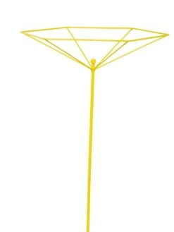 Parasol Plant Supports, Set Of 3 -Eco Garden Shop 8611129 3844 tif