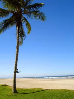 MAXSA® Solar-Powered LED Flag Light -Eco Garden Shop 8611318 02v