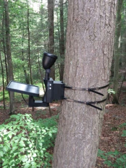 MAXSA® Solar-Powered LED Flag Light -Eco Garden Shop 8611318 03v