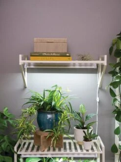 New Products -Eco Garden Shop 8611516 8400 tif