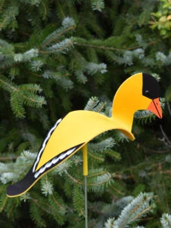 Florida Dancing Birds®, Songbirds -Eco Garden Shop 8611629 04v