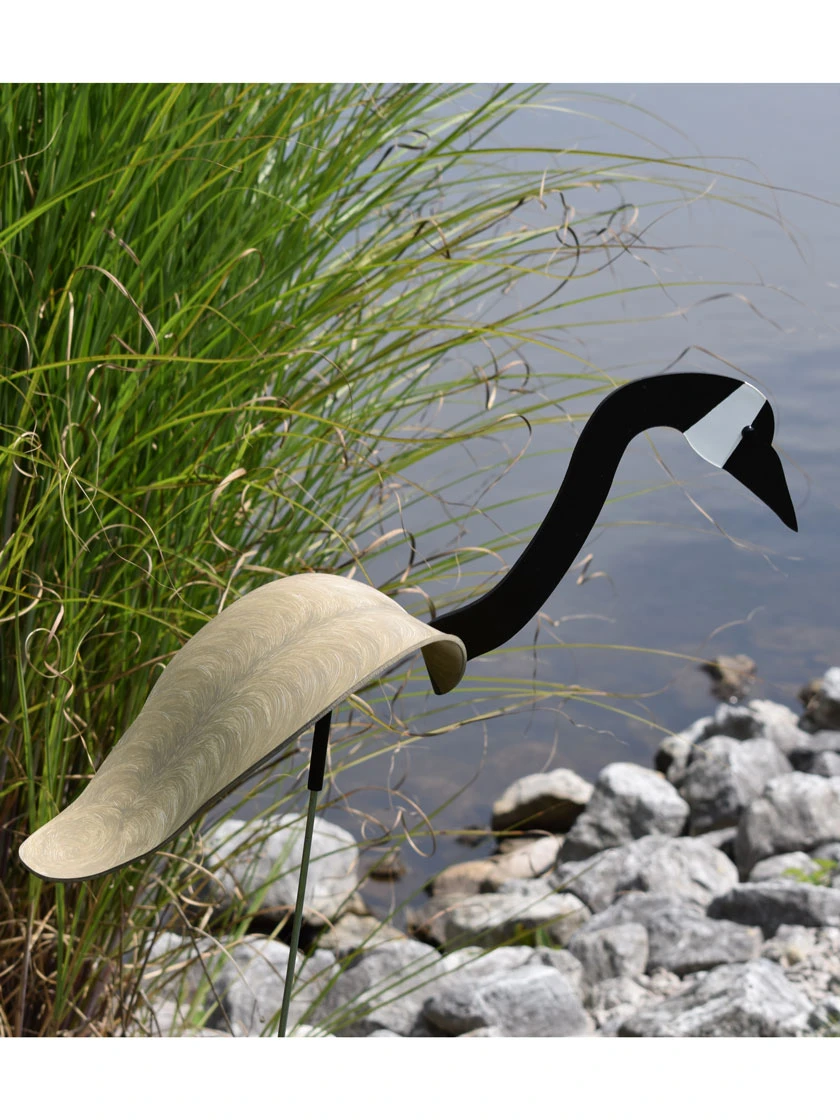 Florida Dancing Birds®, Canada Goose 4 Florida Dancing Birds®, Canada Goose - Image 2