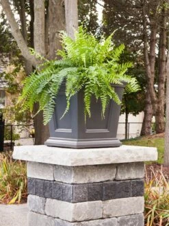 Fairfield Self-Watering Square Planter, 16” X 16” -Eco Garden Shop 8611695 06V tif