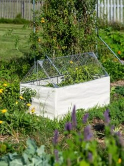 Crop Coop Covers Set -Eco Garden Shop 8611698 005 tif