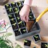 Self-Watering Galvanized Seed Starting Tray 2 Self-Watering Galvanized Seed Starting Tray -Eco Garden Shop 8611714 029 tif 1
