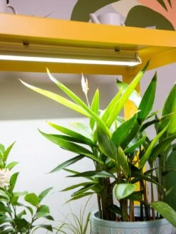 Eco Garden Shop -Eco Garden Shop 8611724 4059 tif