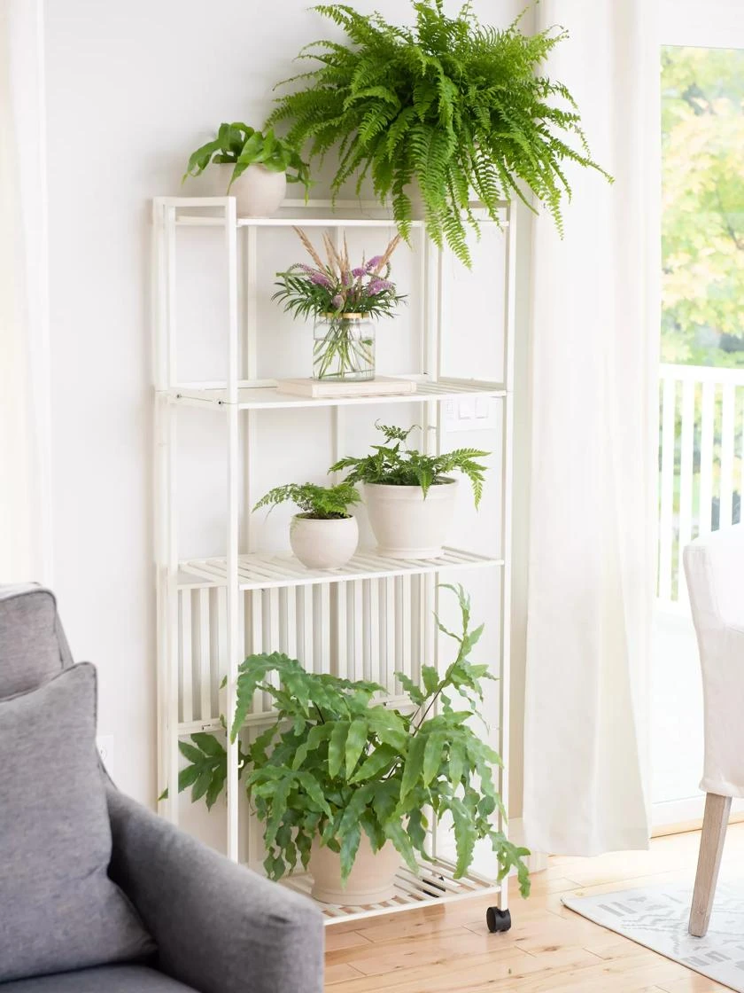 Oslo 4-Tier Plant Stand With Folding Shelves 4 Oslo 4-Tier Plant Stand With Folding Shelves - Image 2