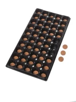 Coco Coir Seed Starting Discs And Tray -Eco Garden Shop 8611810 7078 tif