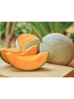 Hales Best Cantaloupe Organic Seeds -Eco Garden Shop 8611872 01v