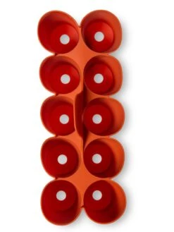 Sili-Seedlings® Seedling Tray, 10-Cell 12 Sili-Seedlings® Seedling Tray, 10-Cell -Eco Garden Shop 8611886 3821 tif