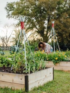 DIY Connector For Teepee Trellis -Eco Garden Shop 8611896 38 tif