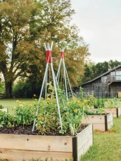 DIY Connector For Teepee Trellis -Eco Garden Shop 8611896 71 tif
