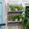 VegTrug® Herb Rack -Eco Garden Shop 8611930 6402 tif