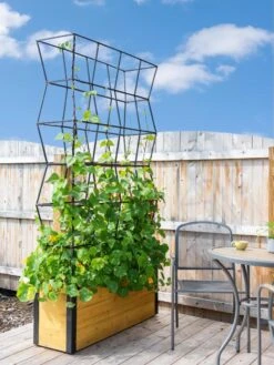 Self-Watering Partition Planter -Eco Garden Shop 8611952 4825 tif