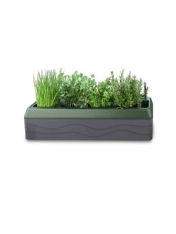 Provence Self-Watering Herb Planter -Eco Garden Shop 8611965 03V tif