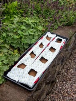 Berry Blend Coir Grow Bag, Set Of 2 -Eco Garden Shop 8611968 361 tif