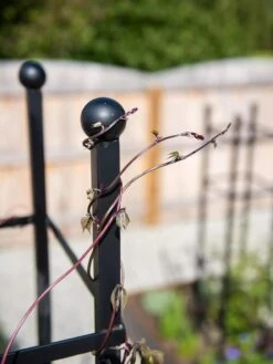 Essex Square Obelisk -Eco Garden Shop 8611984 278 tif