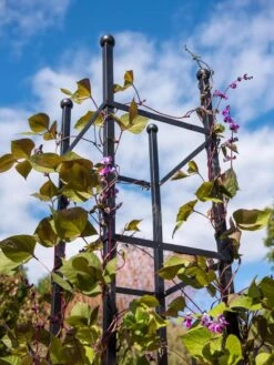 Essex Square Obelisk -Eco Garden Shop 8611984 354 tif