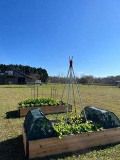 Insect And Pest Net Row Protector -Eco Garden Shop 8611985 04 tif