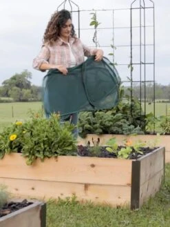 Insect And Pest Net Row Protector -Eco Garden Shop 8611985 8389 tif