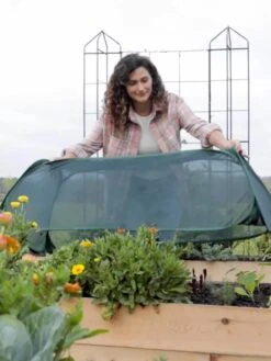 Insect And Pest Net Row Protector -Eco Garden Shop 8611985 8390 tif