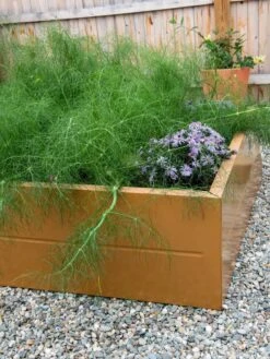 Somerset Metal Raised Beds, As Is -Eco Garden Shop 8612019 005 tif