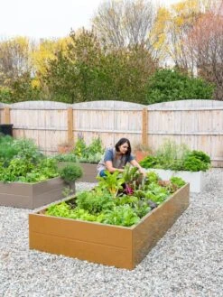 Somerset Metal Raised Beds, As Is -Eco Garden Shop 8612020 0014 tif