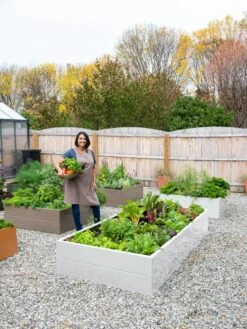 Somerset Metal Raised Beds, As Is -Eco Garden Shop 8612020 0016 tif