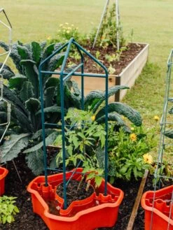 Deluxe Tomato Halos, Set Of 2 -Eco Garden Shop 8612045 221 tif