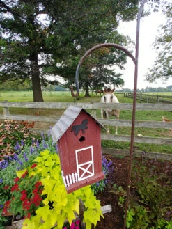Summitville Stable Bird House -Eco Garden Shop 8612121 05v