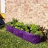 Smart Pot® Raised Bed Planter, Purple -Eco Garden Shop 8612142 6347 tif