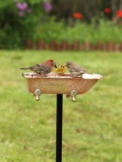 Copper Bathtub Birdbath -Eco Garden Shop 8612202 01v copper bathtub birdbath