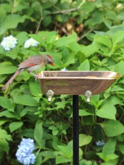 Copper Bathtub Birdbath -Eco Garden Shop 8612202 03v