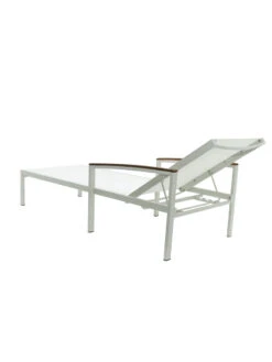 Braylee Reclining Chaise Lounge -Eco Garden Shop 8612262 06v