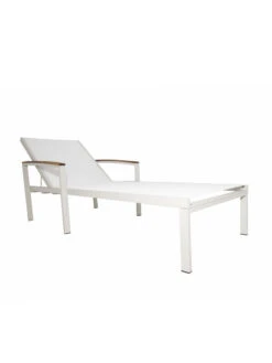 Braylee Reclining Chaise Lounge -Eco Garden Shop 8612262 07v