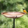 Copper Birdbath, 18" With Stake -Eco Garden Shop 8612271 01V copper birdbath 18 inch with stake