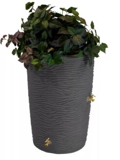 Impressions Palm 50 Gallon Rain Saver -Eco Garden Shop 8612305 01V jpg
