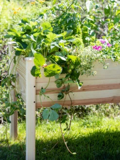 Standing Garden Bed -Eco Garden Shop 8612380 0118