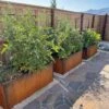 Nice Corten Trough Planters With Trellis -Eco Garden Shop 8612390 02V jpg