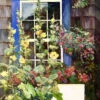 Summer House Outdoor Wall Art -Eco Garden Shop 8612563 01v summer house outdoor wall art